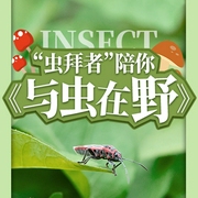儿童趣味读物|虫拜者陪你与虫在野-胡小滨-娱悦佳音