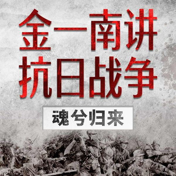 魂兮归来：金一南将军讲抗日战争