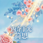 丙夺丁光|都市言情|欢喜冤家|情绪稳定男主|独立清醒女主|轻喜剧-简思-逝水流痕，在逃火锅底料