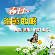 春日治愈助眠|细雨 梨花-佚名-暮青.