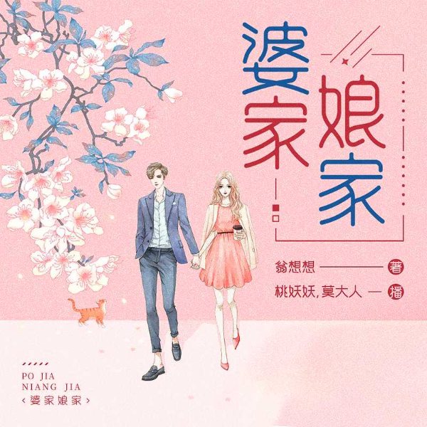 婆家娘家|现代婚姻家庭伦理小说