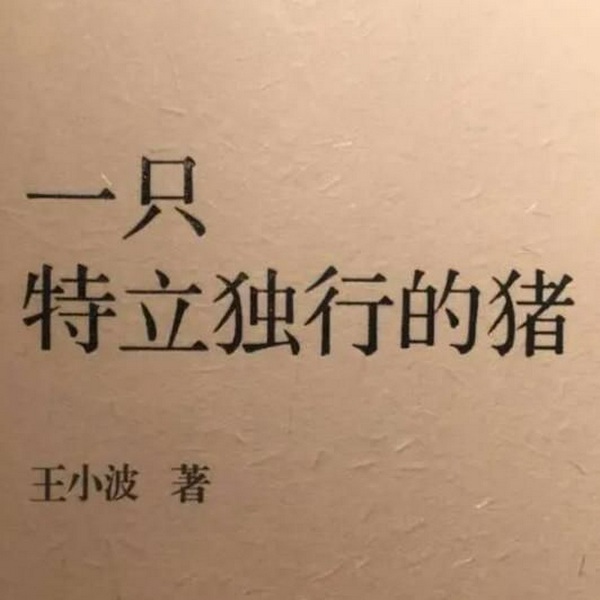 一只特立独行的猪