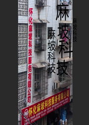 麻坡科技进坛之歌-张美平-麻坡科技