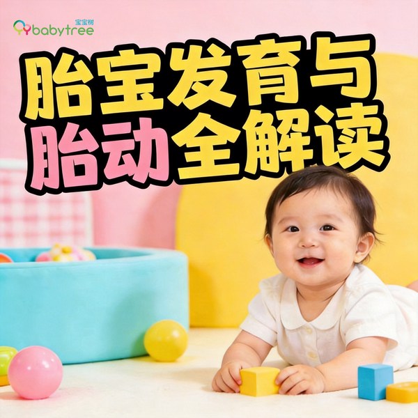宝宝树出品|胎宝发育与胎动全解读