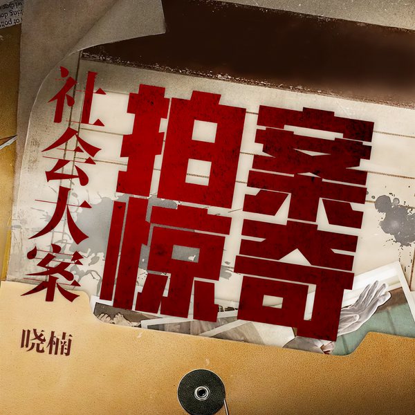 社会大案拍案惊奇