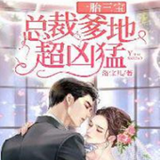 一胎三宝：总裁爹地超凶猛-佚名-清流童