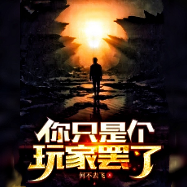 你只是个玩家罢了