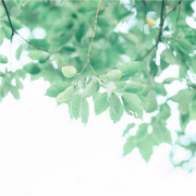 晚安頻道|情感分享|治愈-佚名-播音花熹