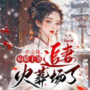 虐完我，病娇王爷追妻火葬场了-佚名-博易听书