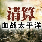 巨浪上的舰队：陆海空血战太平洋|跳岛战术 珍珠港 东京轰炸 战争--哈雷voice，喜马拉雅