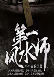 第一风水师-佚名-奇文文化
