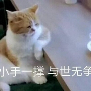 亂七八糟的視頻作品的音頻-佚名-梓顏4346816