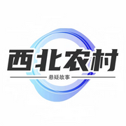 西北农村|悬疑故事-佚名-DNS一明