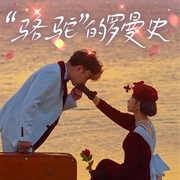 “骆驼”的罗曼史-鲁兴华、包作军-潘多拉魔盒