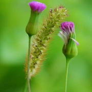 吉他心情-佚名-助眠哄睡专区