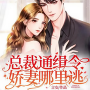 总裁通缉令：娇妻哪里逃|离婚后她带着萌宝跑路了！-言安-主播至秦，玉温润，紫衫萝王，郁子期，亭非罗，播音菲语，小蚂蚁贝拉，云小雪，南欣，播音拾玖，文亚