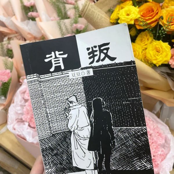 背叛未删减版 | 豆豆三部曲