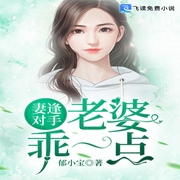 妻逢对手：老婆，乖一点-佚名-小酷说书