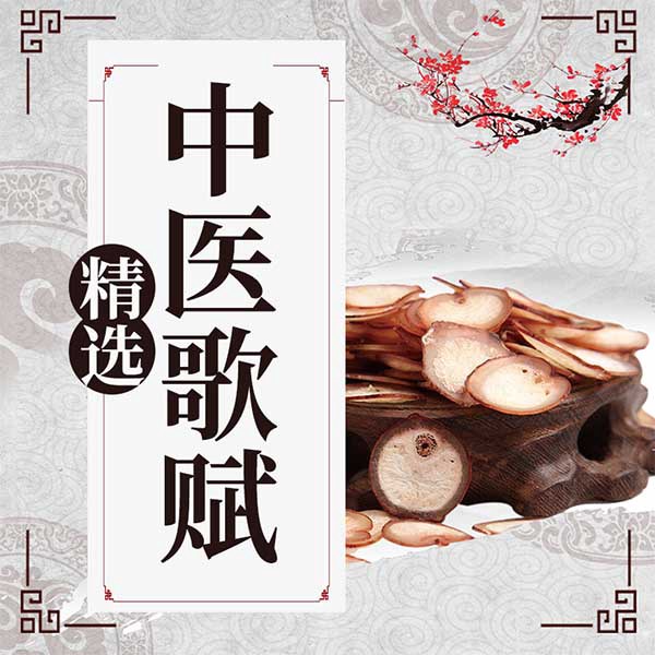 精选中医歌赋