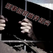 刑事犯罪案件纪实-佚名-寒冰