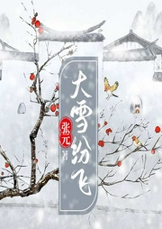 大雪纷飞-张元-太湖杂志社