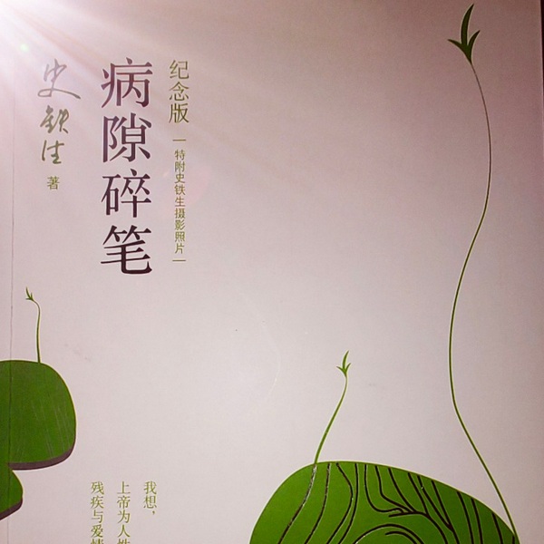 病隙碎笔|人生哲理[已完结