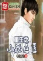 重生之小说巨匠-佚名-刺团