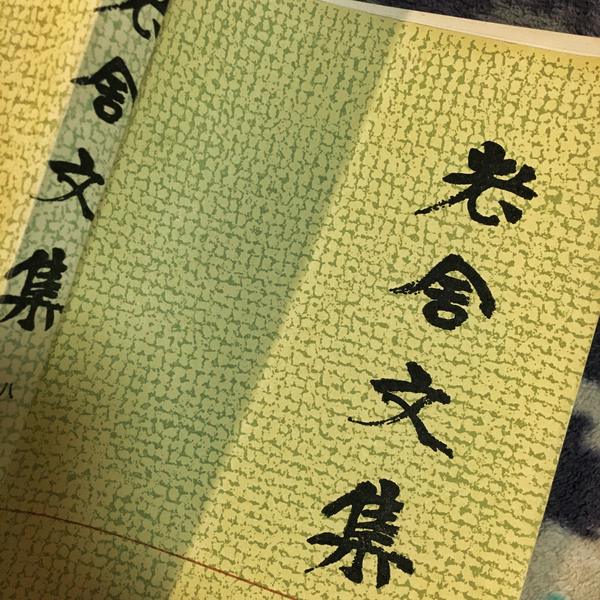 老舍文集