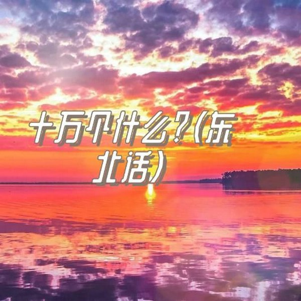 十万个什么|东北话