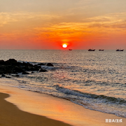 午夜花园的絮语|助眠纯音|哄睡|白噪-佚名-火花音悦