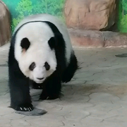 正能量-佚名-勿念安好