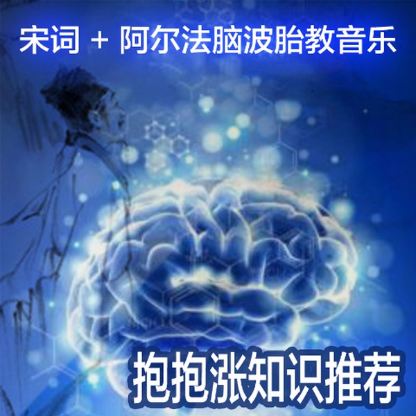 全宋词三百首阿尔法脑波胎教音乐