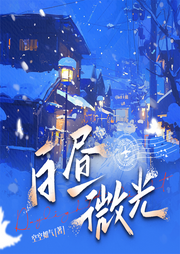 白昼微光|刑侦悬疑|缉毒|卧底|双向救赎-空空如气-阅米文化