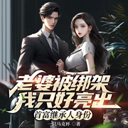 老婆被绑架，我只好亮出首富继承人身份|扮猪吃虎废婿打脸|美娇妻-一只马克杯-广东畅读，杠杠，辛聿，海坊主圈外女友，八月居，青衣o刀客