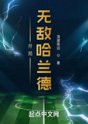 开局无敌哈兰德-佚名-陌丶言忆