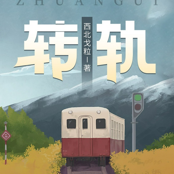 转轨
