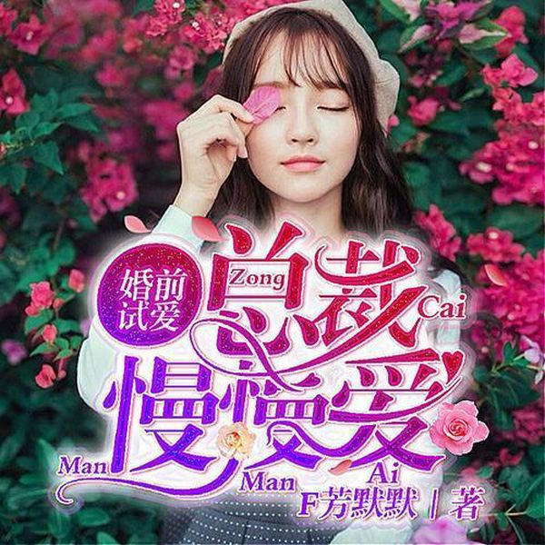 婚前试爱:总裁,慢慢爱