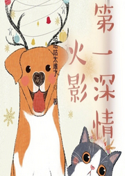 火影第一深情-咕咕咕太难了-舞醉星河