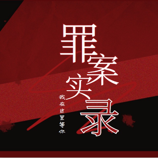 罪案实录|悬疑推理|国内案件