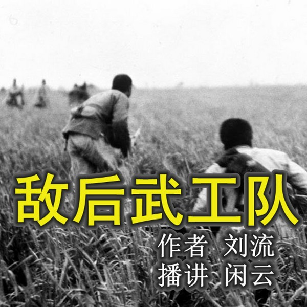 敌后武工队|抗日名著|》冀中平原