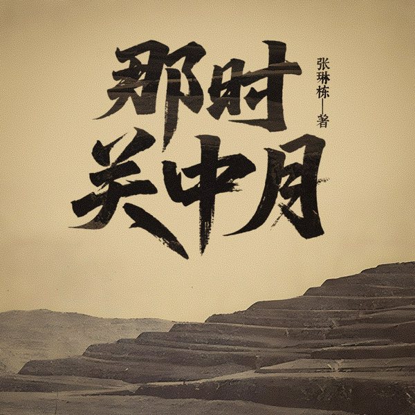 那时关中月|关中|风云激荡|封存百年历史|普通人物|命运变迁|波澜壮
