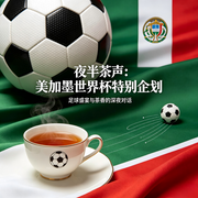 夜半茶声：闲谈美加墨世界杯|声动美加墨--去码头整点儿薯条