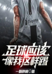 足球应该像我这样踢--刘大泡