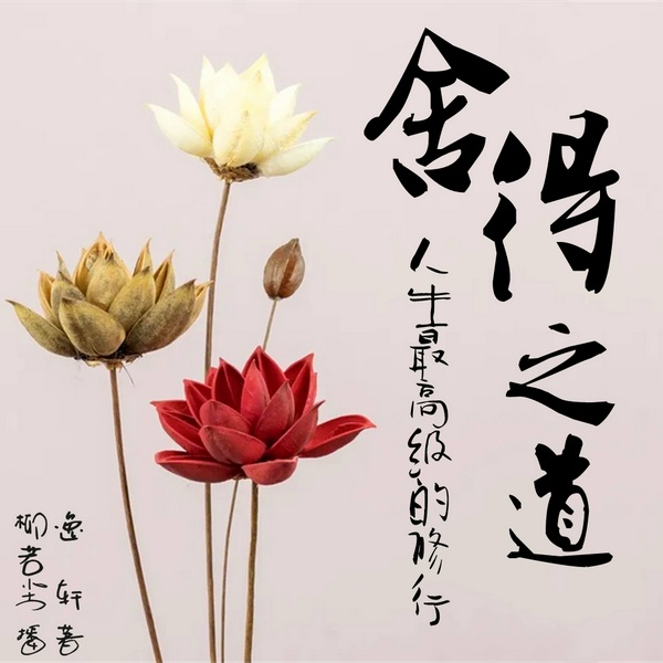 舍得之道|人生最高级的修行