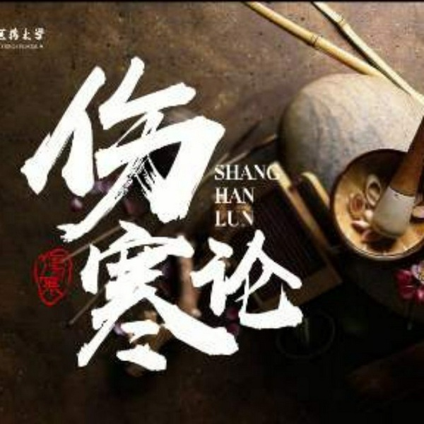 精讲伤寒论|跟医圣张仲景学中医