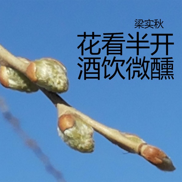 花看半开，酒饮微醺
