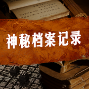 《神秘档案记录》-佚名-王列啃书