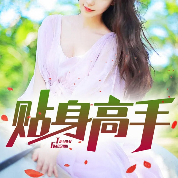 贴身高手