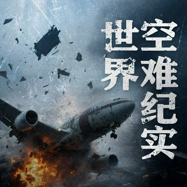 世界著名空难纪实|马航MH370|美国911事件|土耳其客机坠毁