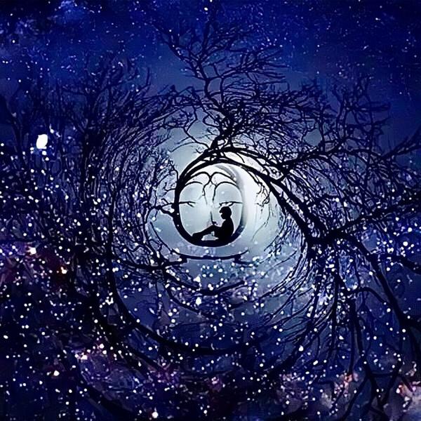 胡广生马头琴|养生音乐